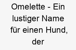 omelette ein lustiger name fuer einen hund der eier liebt oder einen weichen flauschigen koerper hat 23811