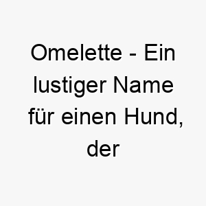 omelette ein lustiger name fuer einen hund der eier liebt oder einen weichen flauschigen koerper hat 23811