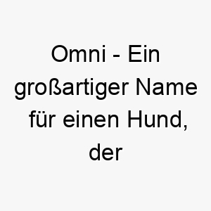 omni ein grossartiger name fuer einen hund der einfach alles kann und alles liebt 23785