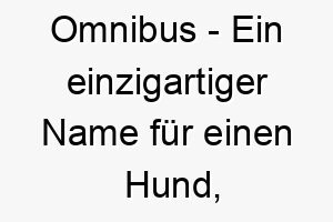 omnibus ein einzigartiger name fuer einen hund der alles liebt oder alles kann 23871