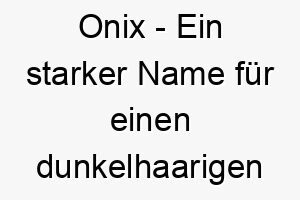 onix ein starker name fuer einen dunkelhaarigen oder robusten hund 23863