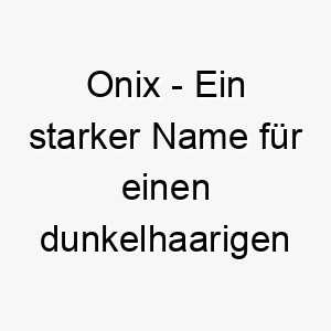 onix ein starker name fuer einen dunkelhaarigen oder robusten hund 23863