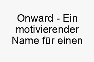 onward ein motivierender name fuer einen energischen oder enthusiastischen hund 23940