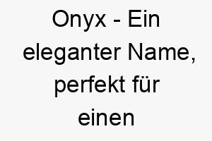 onyx ein eleganter name perfekt fuer einen schwarzen oder dunkelhaarigen hund 23914