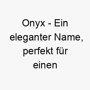 onyx ein eleganter name perfekt fuer einen schwarzen oder dunkelhaarigen hund 23914