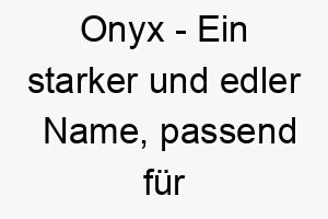 onyx ein starker und edler name passend fuer einen schwarzen oder sehr dunkel gefaerbten hund 23832