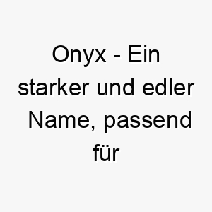 onyx ein starker und edler name passend fuer einen schwarzen oder sehr dunkel gefaerbten hund 23832