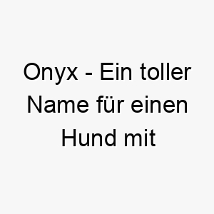 onyx ein toller name fuer einen hund mit glaenzendem schwarzem fell 23797