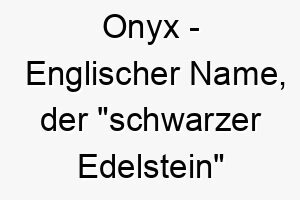 onyx englischer name der schwarzer edelstein bedeutet 7281 1