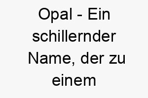 opal ein schillernder name der zu einem farbenfrohen oder lebhaften hund passen koennte 23943