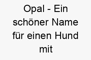 opal ein schoener name fuer einen hund mit mehrfarbigem oder glaenzendem fell 23791