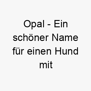 opal ein schoener name fuer einen hund mit schimmerndem fell aehnlich dem edelstein 23834