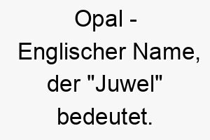 opal englischer name der juwel bedeutet 7270