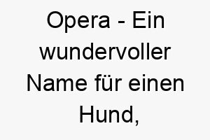 opera ein wundervoller name fuer einen hund der viel zu sagen hat oder gerne bellt 23808