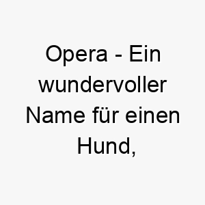 opera ein wundervoller name fuer einen hund der viel zu sagen hat oder gerne bellt 23808