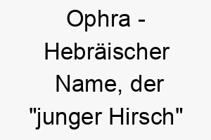 ophra hebraeischer name der junger hirsch bedeutet 7374