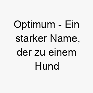 optimum ein starker name der zu einem hund passt der immer das beste gibt oder sehr leistungsfaehig ist 23935