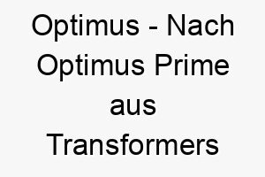 optimus nach optimus prime aus transformers benannt perfekt fuer einen tapferen und heldenhaften hund 23788