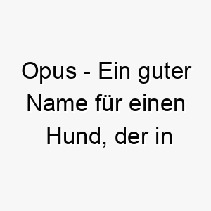 opus ein guter name fuer einen hund der in irgendeiner weise kuenstlerisch oder kreativ ist 23896