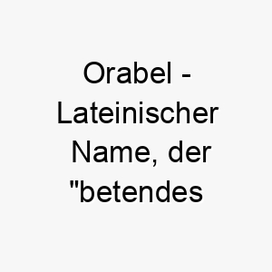 orabel lateinischer name der betendes schoenheitsgold bedeutet 7389