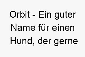 orbit ein guter name fuer einen hund der gerne um menschen oder dinge herumkreist 23909