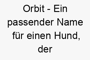 orbit ein passender name fuer einen hund der immer um dich herum ist 23795