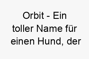 orbit ein toller name fuer einen hund der immer in bewegung ist oder gerne herumtollt 23930