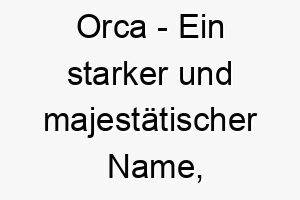 orca ein starker und majestaetischer name ideal fuer einen grossen hund oder einen der das wasser liebt 23913