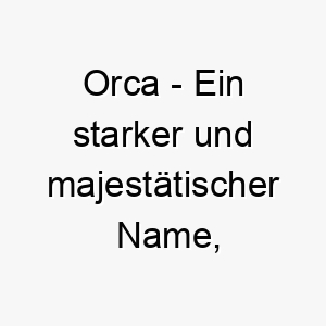 orca ein starker und majestaetischer name ideal fuer einen grossen hund oder einen der das wasser liebt 23913