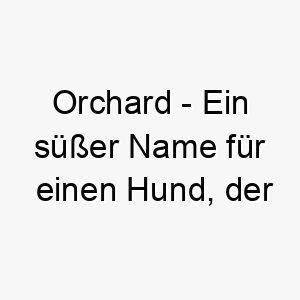 orchard ein suesser name fuer einen hund der die natur liebt 23855