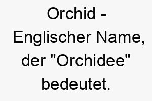 orchid englischer name der orchidee bedeutet 7277