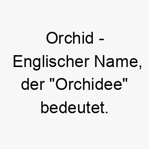 orchid englischer name der orchidee bedeutet 7277