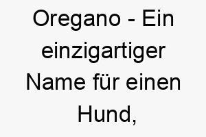 oregano ein einzigartiger name fuer einen hund der vielleicht ein scharfes temperament hat oder dessen fell eine aehnliche farbe hat 23833