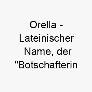 orella lateinischer name der botschafterin der goetter bedeutet 7301