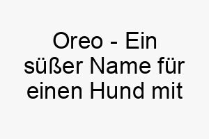 oreo ein suesser name fuer einen hund mit schwarz weissem fell 23843