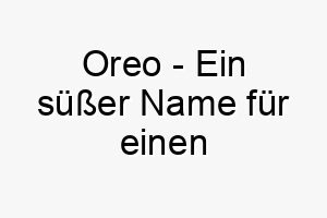 oreo ein suesser name fuer einen schwarz weissen hund 23826