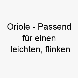 oriole passend fuer einen leichten flinken hund aehnlich wie der vogel 23862