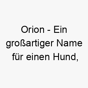 orion ein grossartiger name fuer einen hund der gerne nachts draussen ist oder eine majestaetische ausstrahlung hat 23789