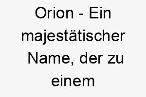 orion ein majestaetischer name der zu einem grossen oder auffaelligen hund passt 23884