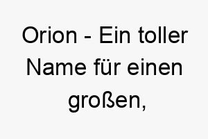 orion ein toller name fuer einen grossen majestaetischen hund 23805