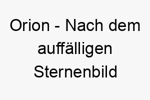 orion nach dem auffaelligen sternenbild benannt passt gut zu einem grossen auffaelligen hund 23836