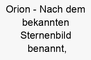 orion nach dem bekannten sternenbild benannt ein majestaetischer name fuer einen grossen oder auffaelligen hund 23865