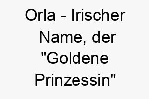 orla irischer name der goldene prinzessin bedeutet 7274