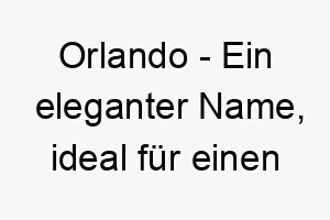 orlando ein eleganter name ideal fuer einen charmanten oder gut aussehenden hund 23924