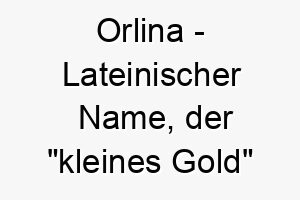 orlina lateinischer name der kleines gold bedeutet 7372