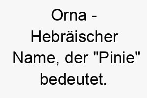 orna hebraeischer name der pinie bedeutet 7311