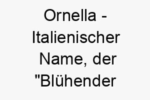 ornella italienischer name der bluehender zweig bedeutet 7390