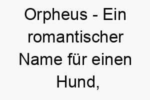 orpheus ein romantischer name fuer einen hund der musik oder gesang liebt benannt nach dem musik liebenden helden der griechischen mythologie 23827