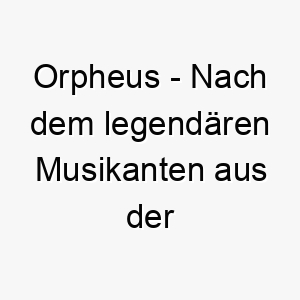 orpheus nach dem legendaeren musikanten aus der griechischen mythologie benannt passt zu einem musikalischen oder melodischen hund 23917