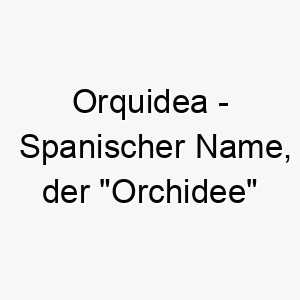 orquidea spanischer name der orchidee bedeutet 7426